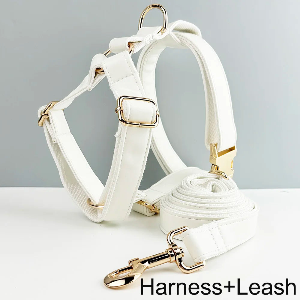 Custom Engraved White Leather Dog Collar and Leash Set with Nameplate - Premium Pet Supplies