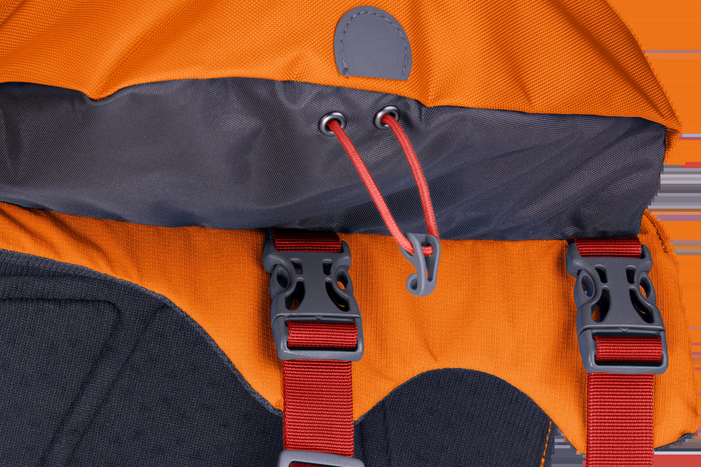 Approach™ Dog Backpack