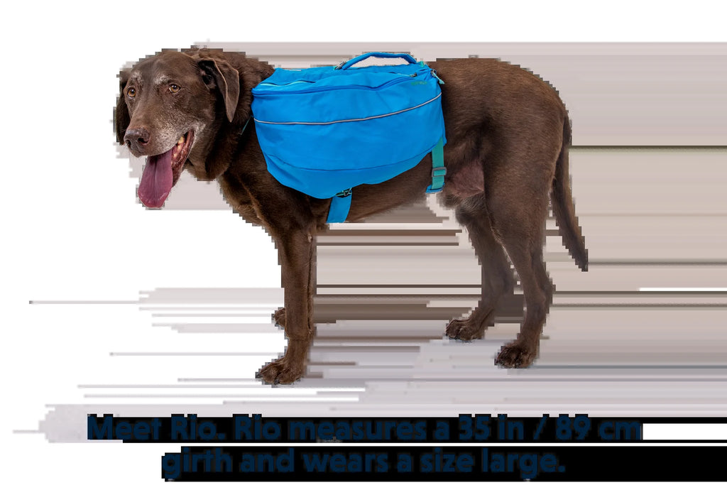 Approach™ Dog Backpack