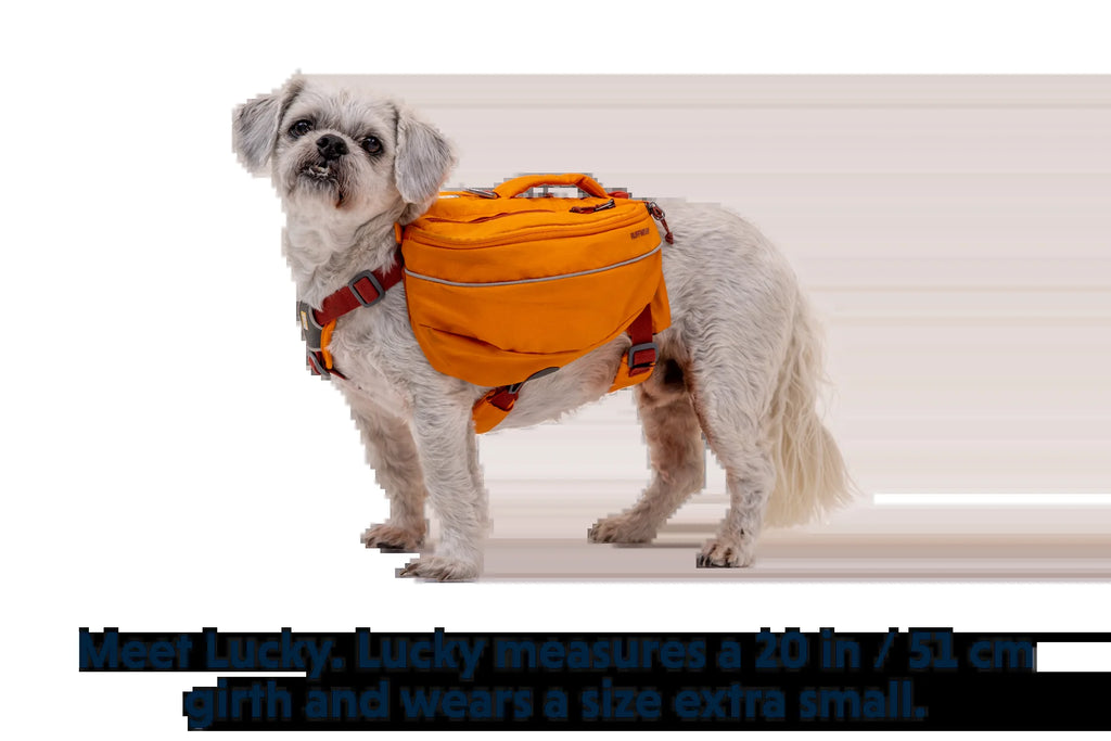 Approach™ Dog Backpack