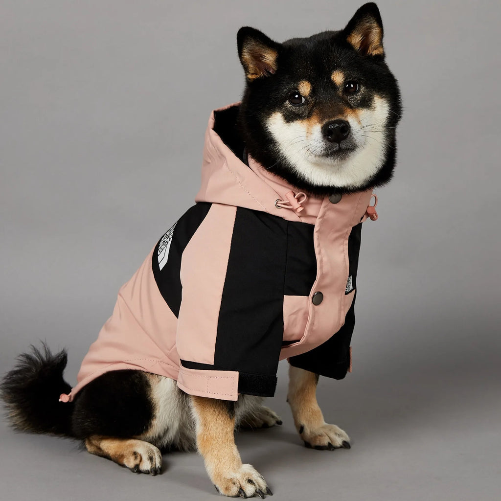 Dog Raincoat and Windbreaker Jacket for Small and Large Breeds, Ideal for French Bulldogs and Chihuahuas