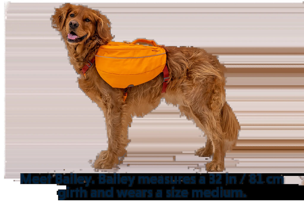 Approach™ Dog Backpack