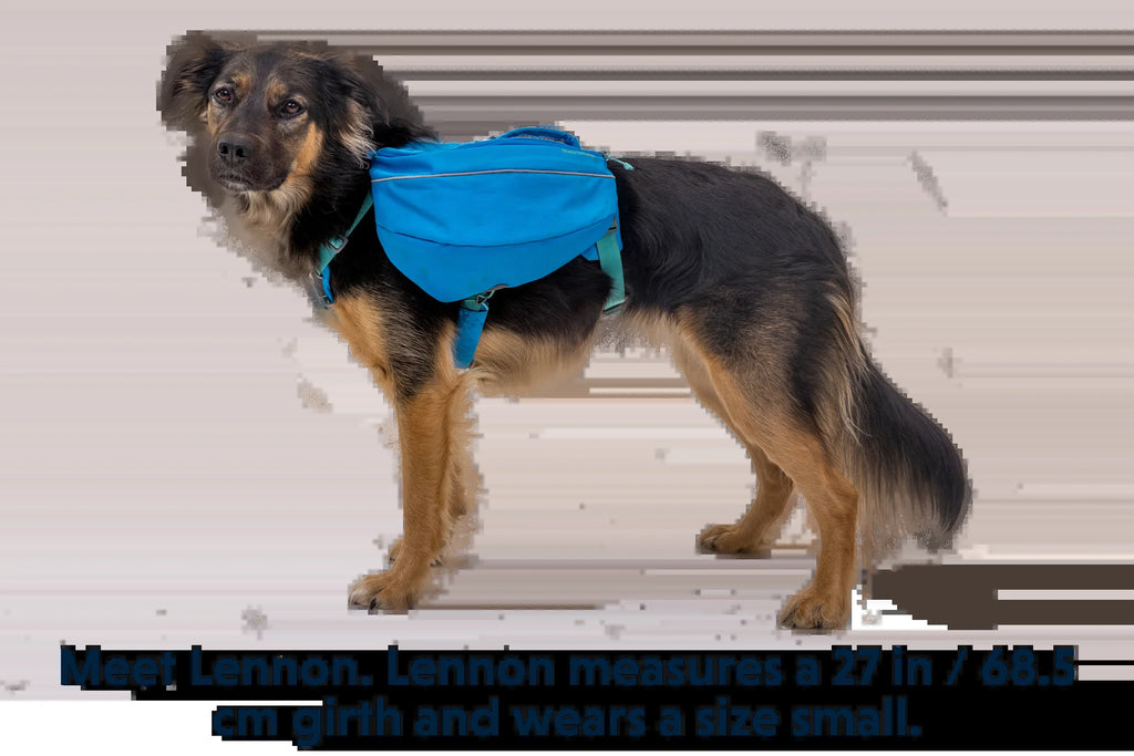 Approach™ Dog Backpack