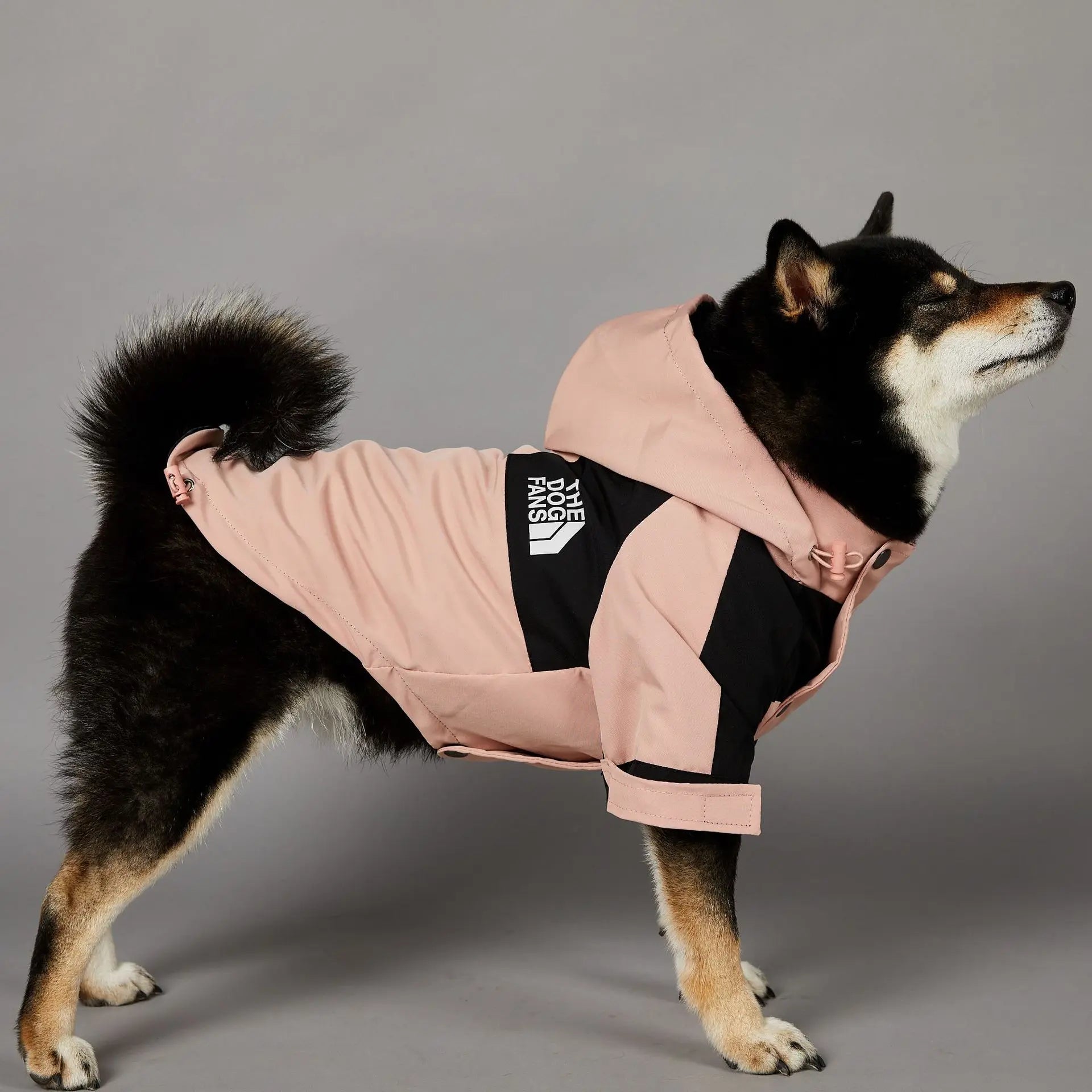 Dog Raincoat and Windbreaker Jacket for Small and Large Breeds, Ideal for French Bulldogs and Chihuahuas