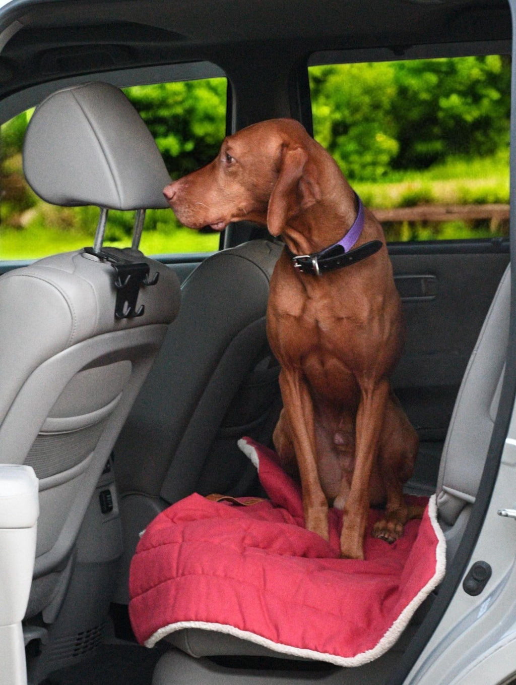 Roll up Travel Dog Mat: Handmade Cotton, Stain & Water-Resistant
